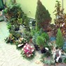 cvecara-ikebana-becej